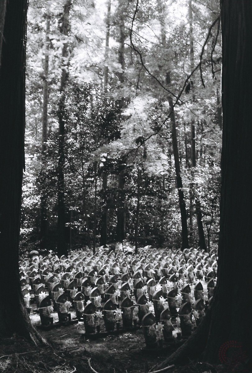 おはようございますm(_ _)m #contax139quartz #レンズ一本 CARL ZEISS