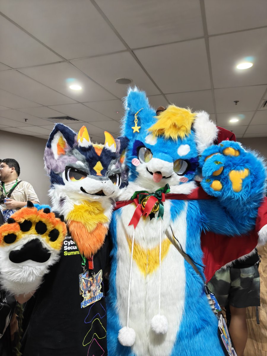 FrostfireLemon's tweet photo. I had a blast at FURUM! It was my first overseas convention and first time suiting! 

Thank you for the memories FURUM, and everyone else who made it memorable. https://t.co/zPb76HtiyY