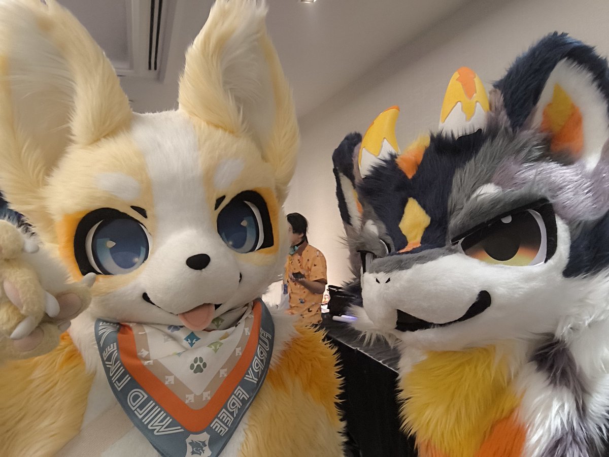 FrostfireLemon's tweet photo. I had a blast at FURUM! It was my first overseas convention and first time suiting! 

Thank you for the memories FURUM, and everyone else who made it memorable. https://t.co/zPb76HtiyY