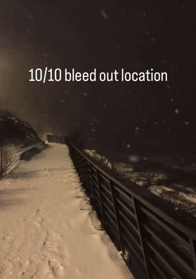 horse dentist (@equine__dentist) on Twitter photo 