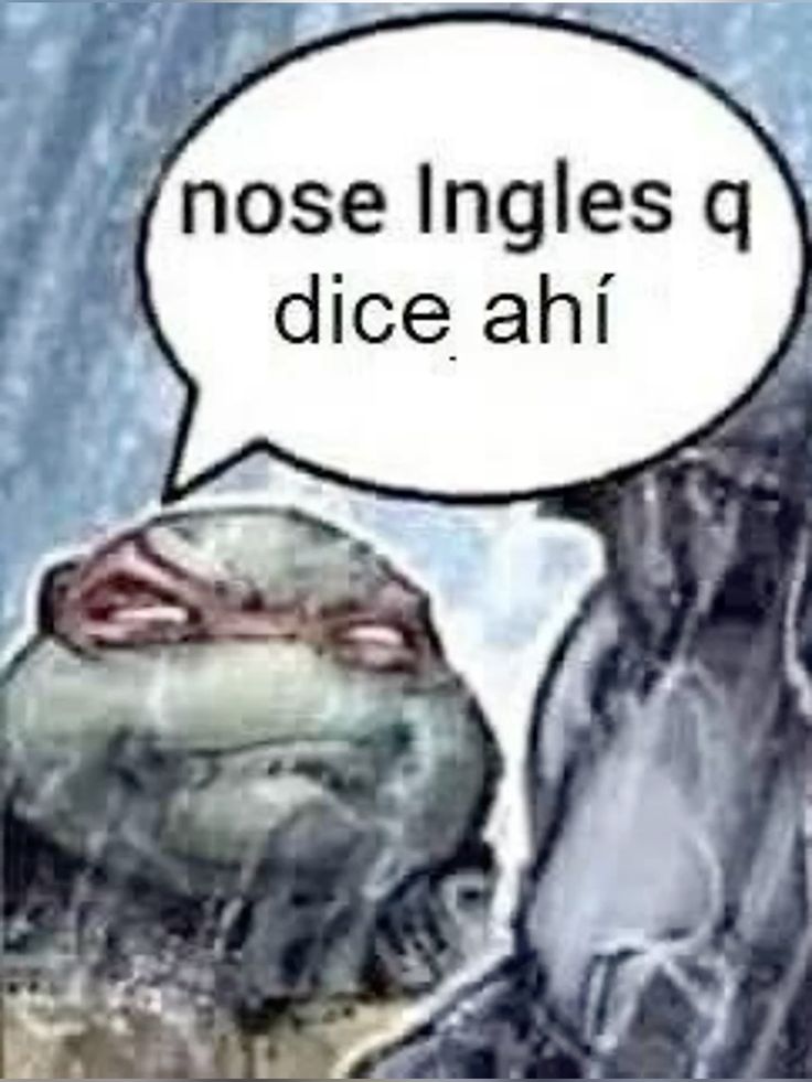 el papu :v tweet media