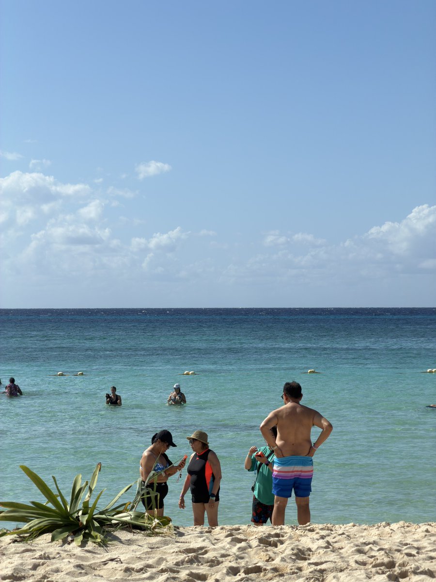 好蓝（不是我 我胖但是没这么胖