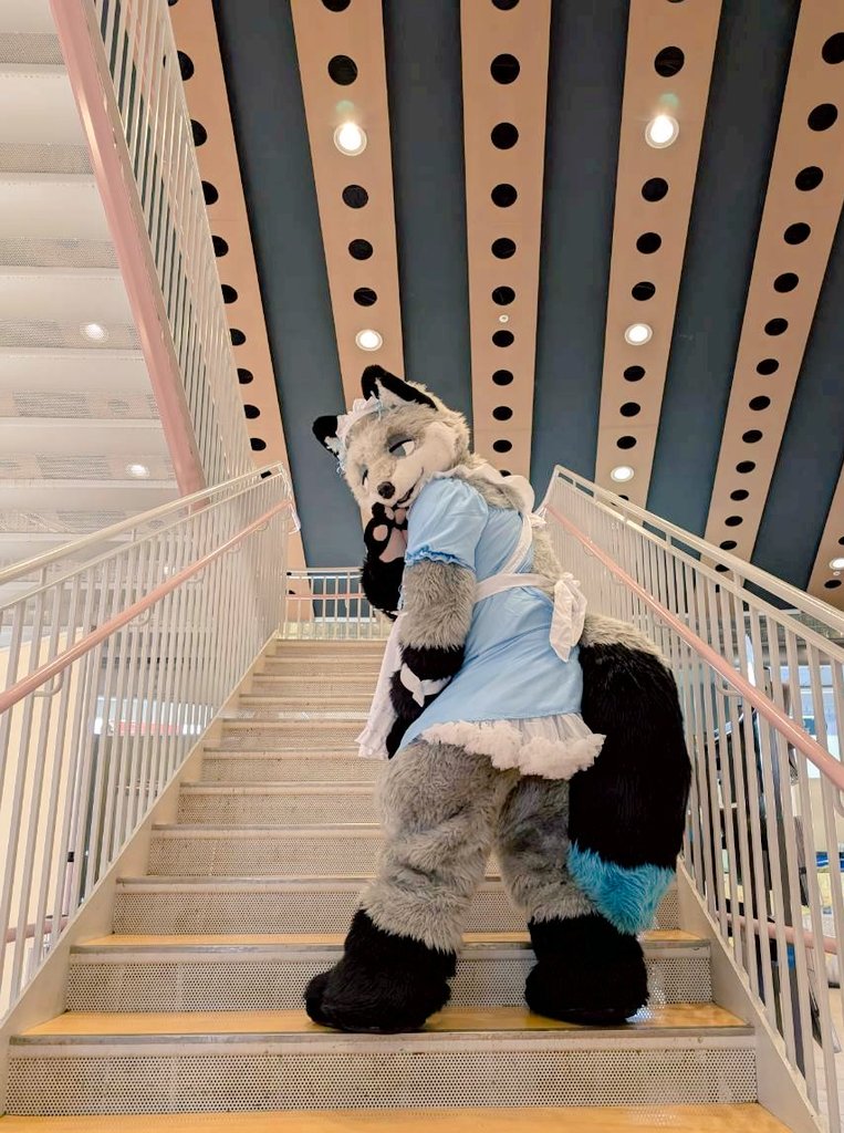 階段ポーズ (p📸qﾟ∀ﾟ*○)