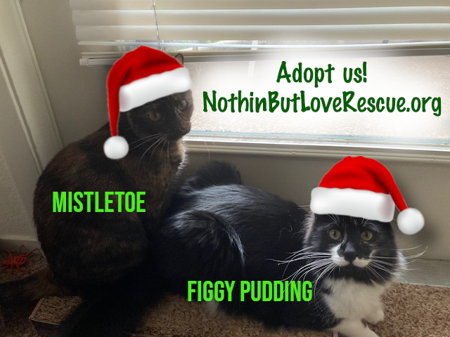 Marla Bradeen/Paige Sleuth, Mystery Author tweet media