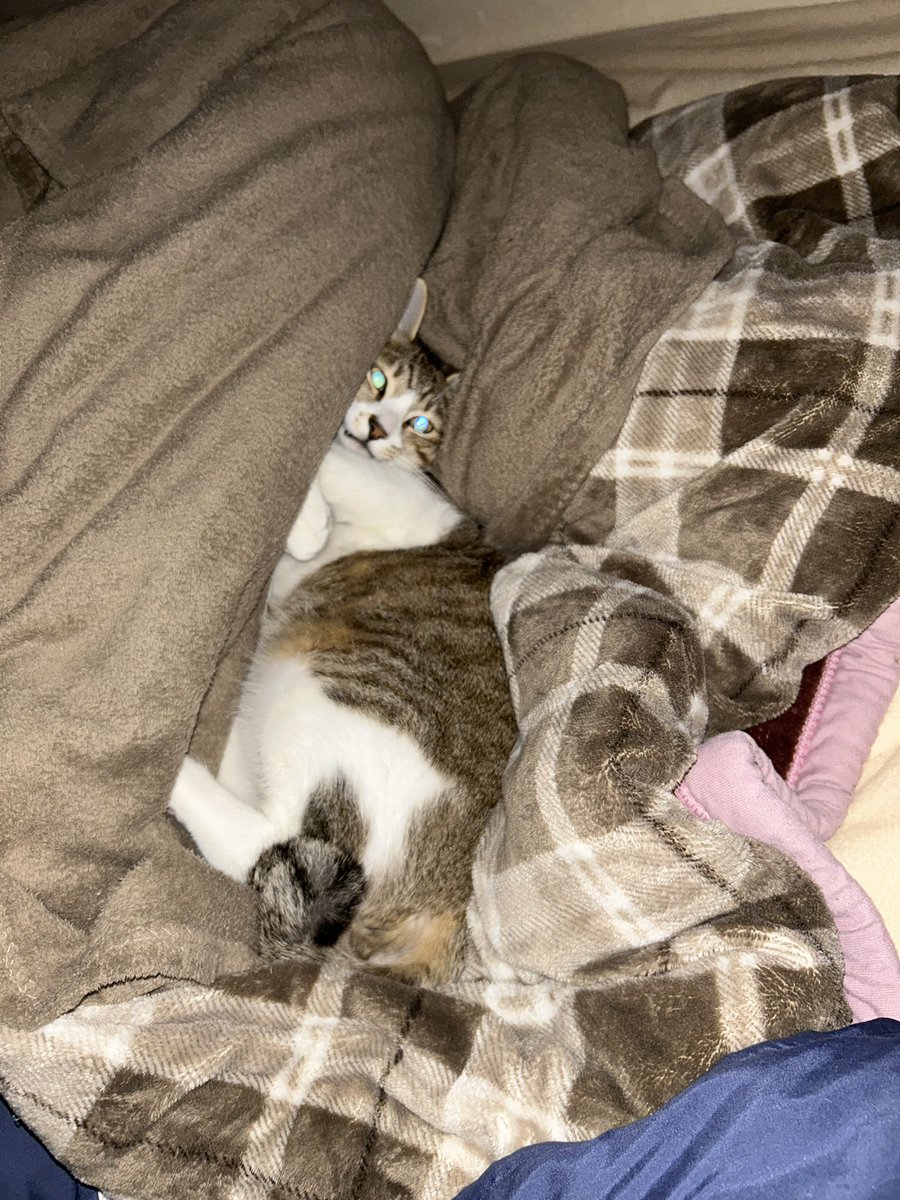 F.Tさやか/さや姉🐒🐦🏍🐼 (@sayaka_i_s) / Posts / X