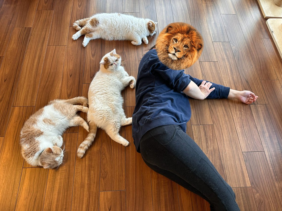 エキゾのきなこさん。 (@miikomaple) / Posts / X