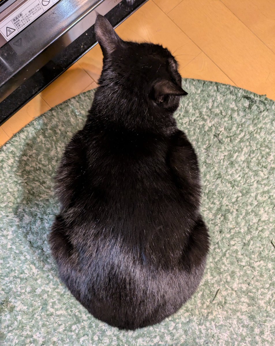 みー (@miiko_kuroneko) / Posts / X