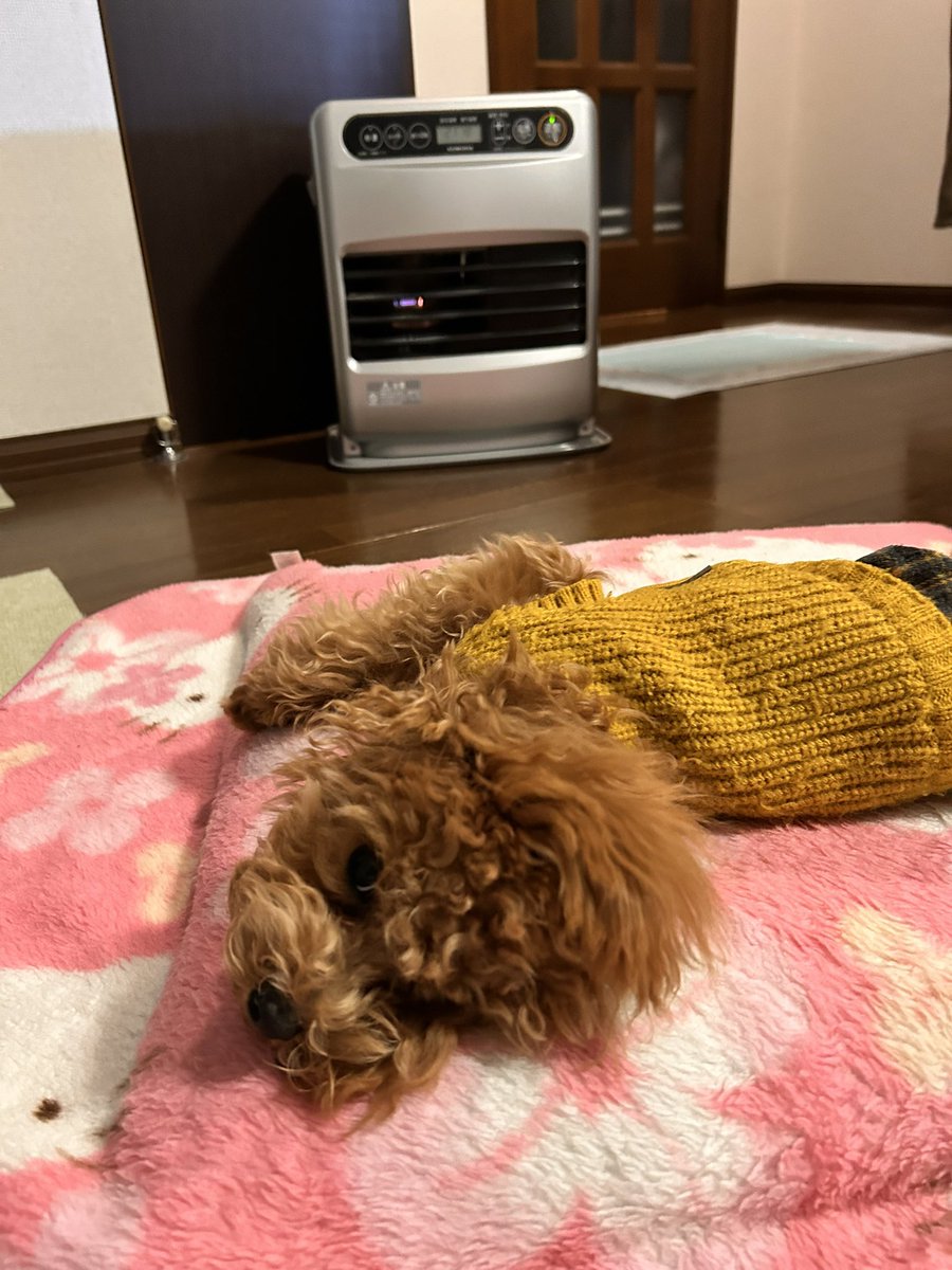 かずちゃんページ かずちゃん (@kazu13chan) / Posts / X