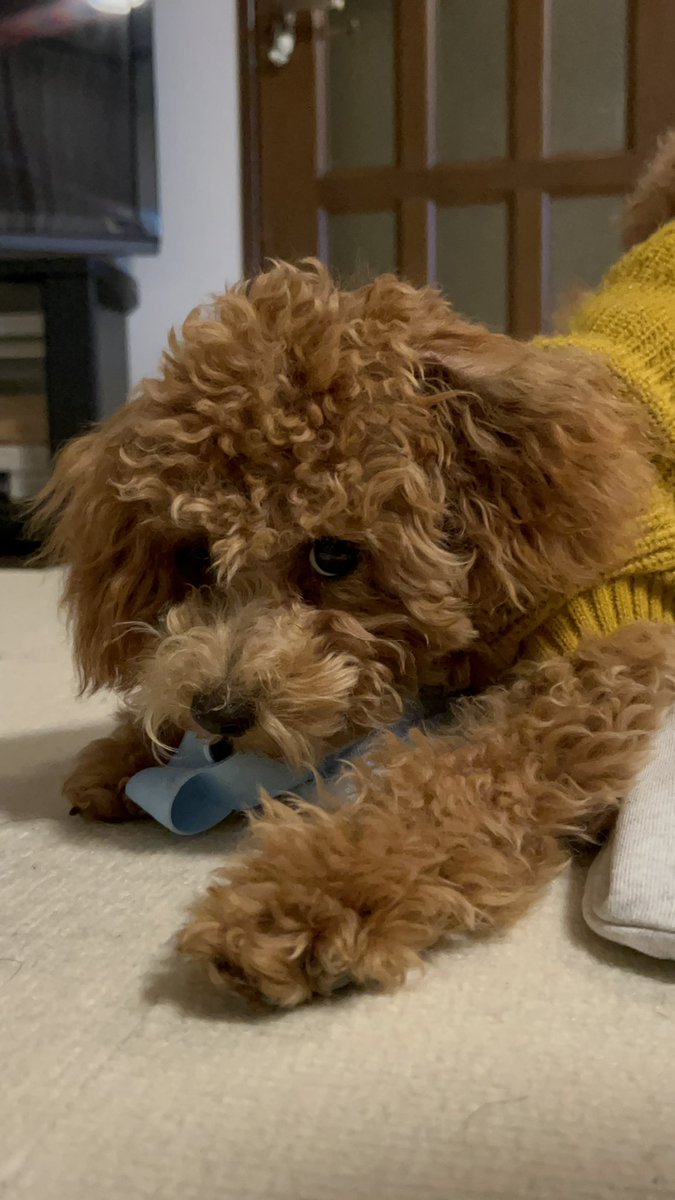 かずちゃん (@kazu13chan) / Posts / X