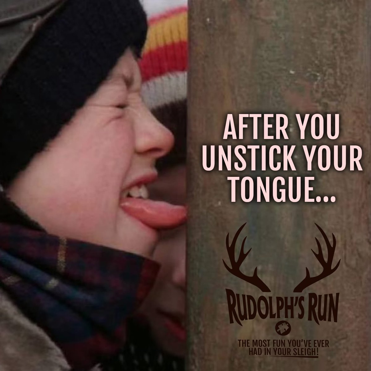 Most Fun Adventures tweet media