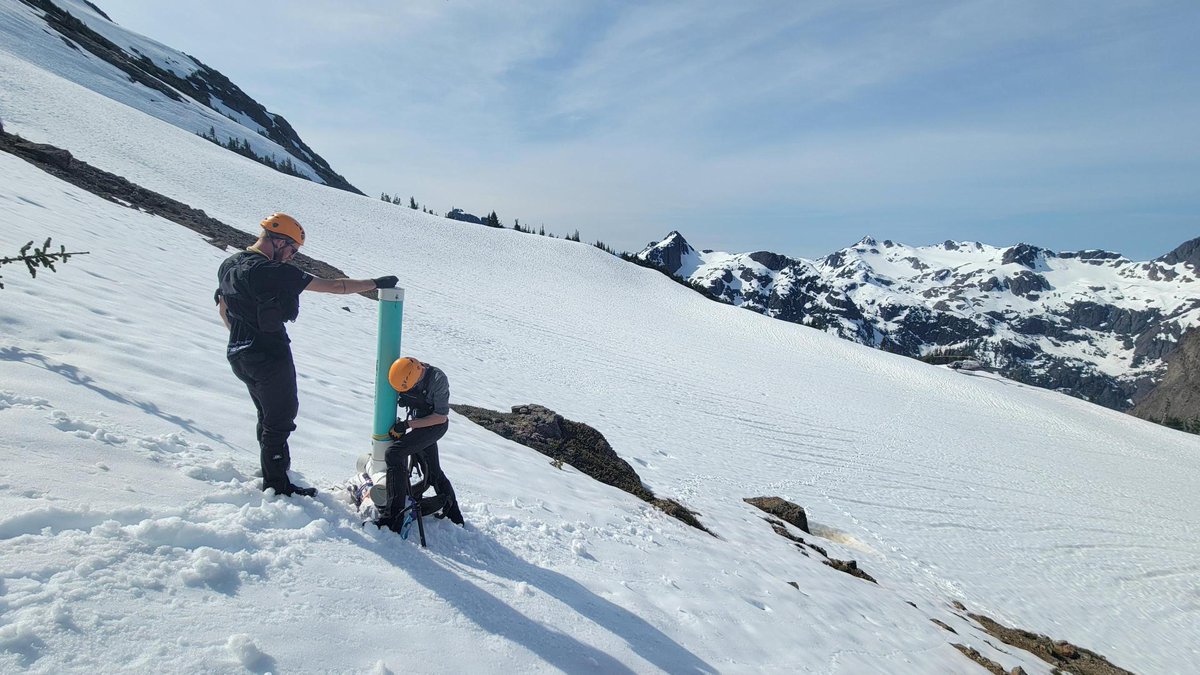 MarmotRecovery's tweet photo. Looking back at some of our favorite moments of 2025: Installing supplemental feeders is hard work, but watching the marmots with the biscuits – worth it. https://t.co/wYlBl5UxEA