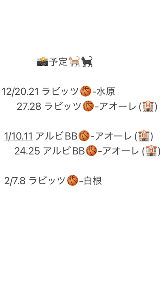 一匹猫 📸 tweet media