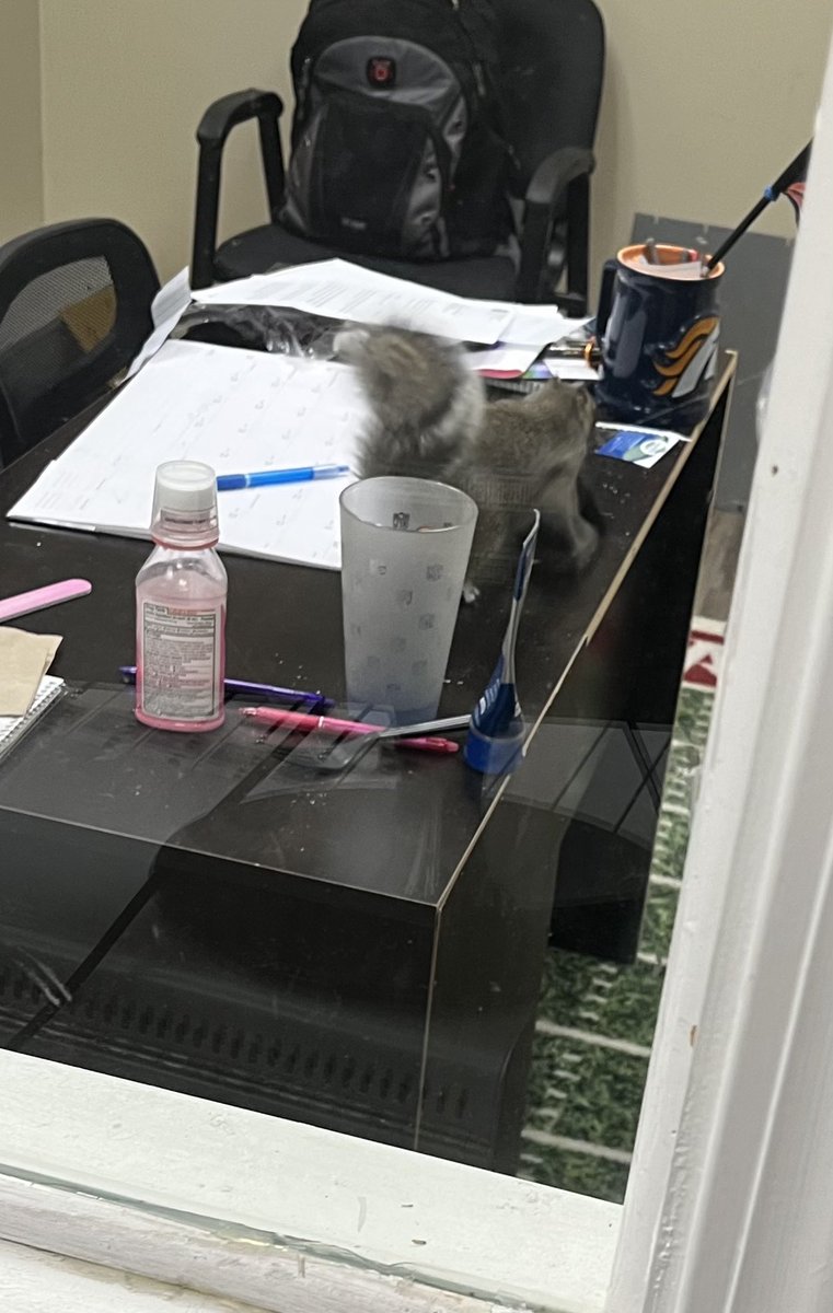 Ruscin&Zach tweet media