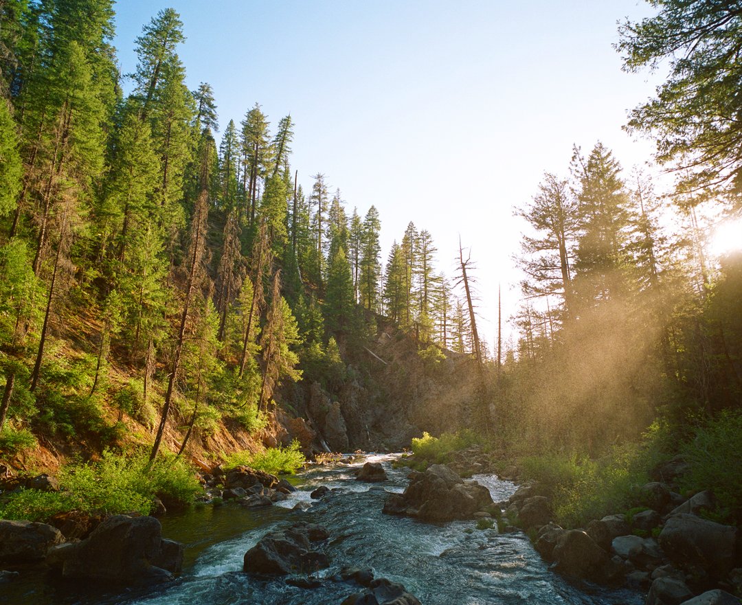 Starting today, I'll be sharing some of my photography. It makes me genuinely happy, and I hope it brightens your feed too.

McCloud River, California 
Camera: Mamiya 7
Film: Kodak Portra 800