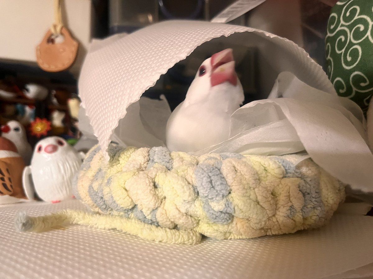 まあそうなりますよね