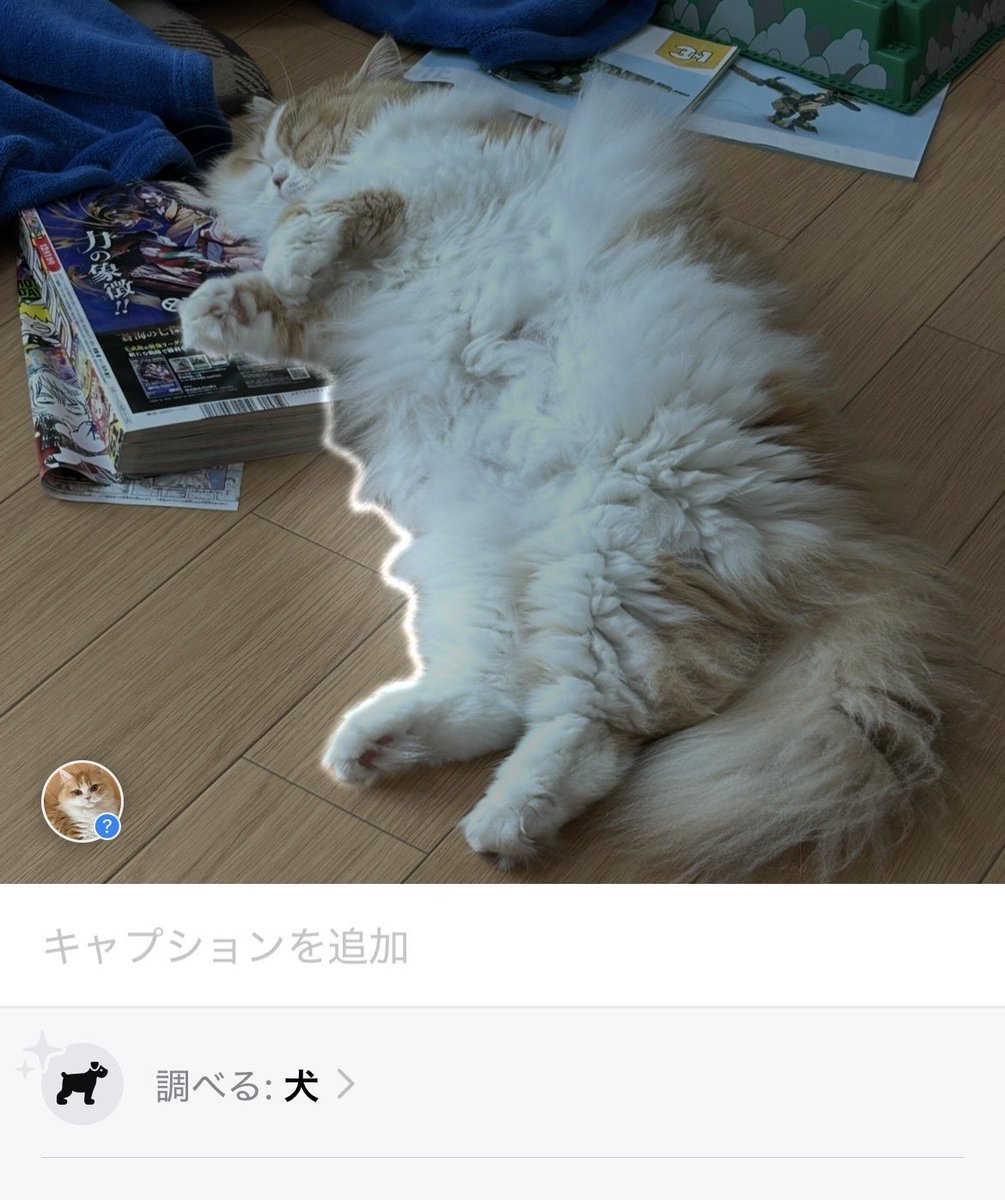 AIさん「こいつ犬」
わたし「そっか」