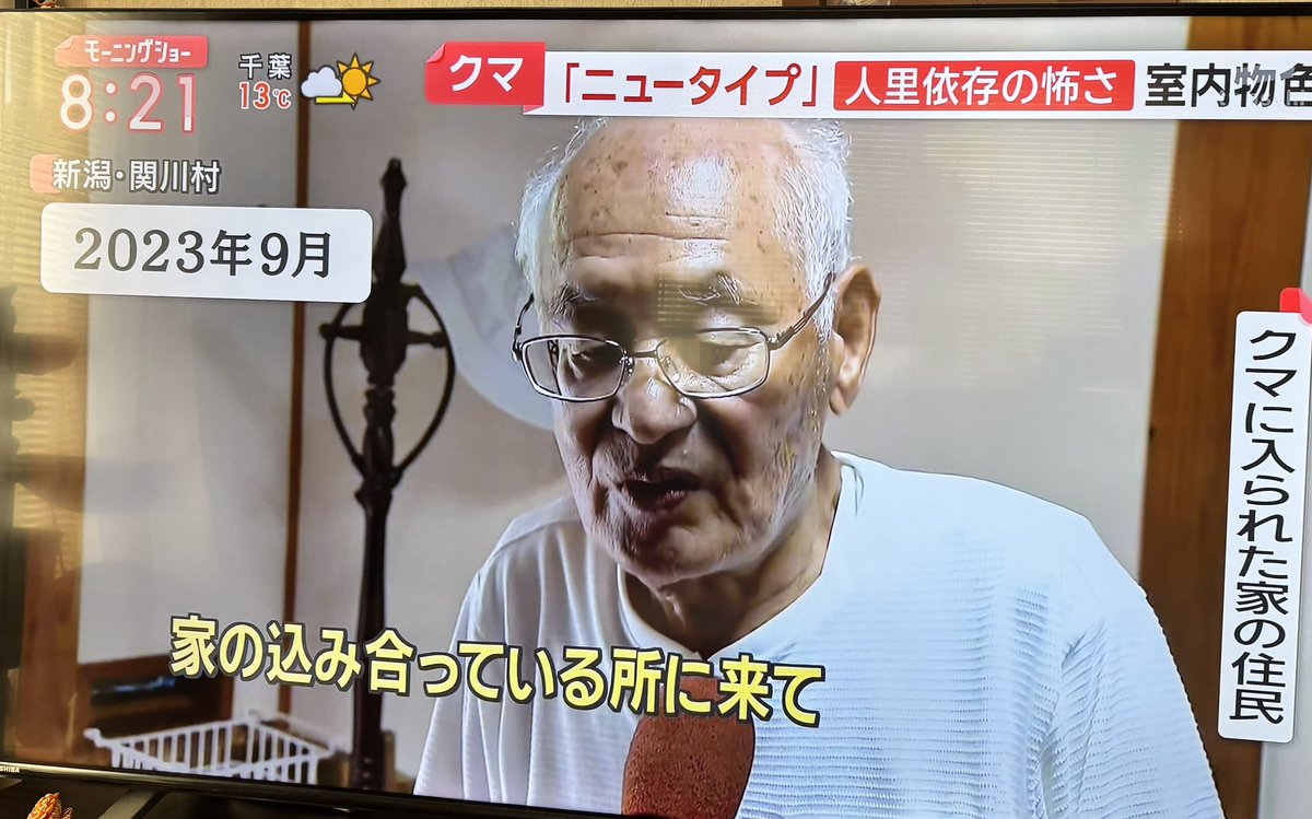 普通の熊ですら怖いのに天パみたいな熊出てくるの恐怖やろ…