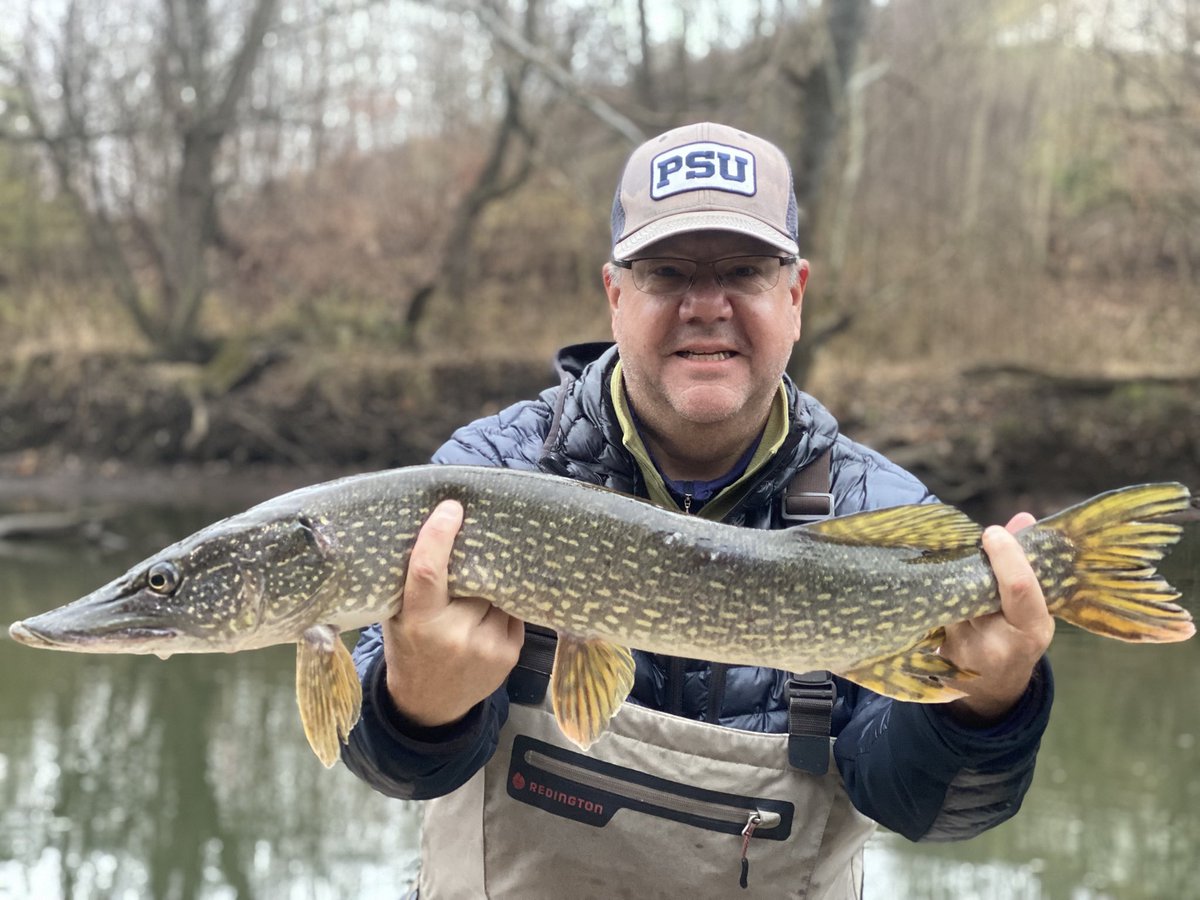 KeystoneAngler's tweet image. My client Gary with a consolation Pike after a couple hard days chasing #musky 

#keystoneanglersguideservice #flyfish #flyfishing #flyfishinglife #fish #fishing #fishinglife #fishingtips #fishingaddict #fishingislife #fishingfun #fishingtrip
