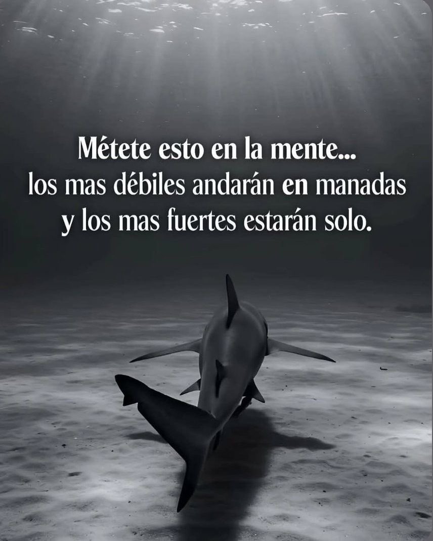 eligedisciplina's tweet photo. https://t.co/Vu727IOXNf