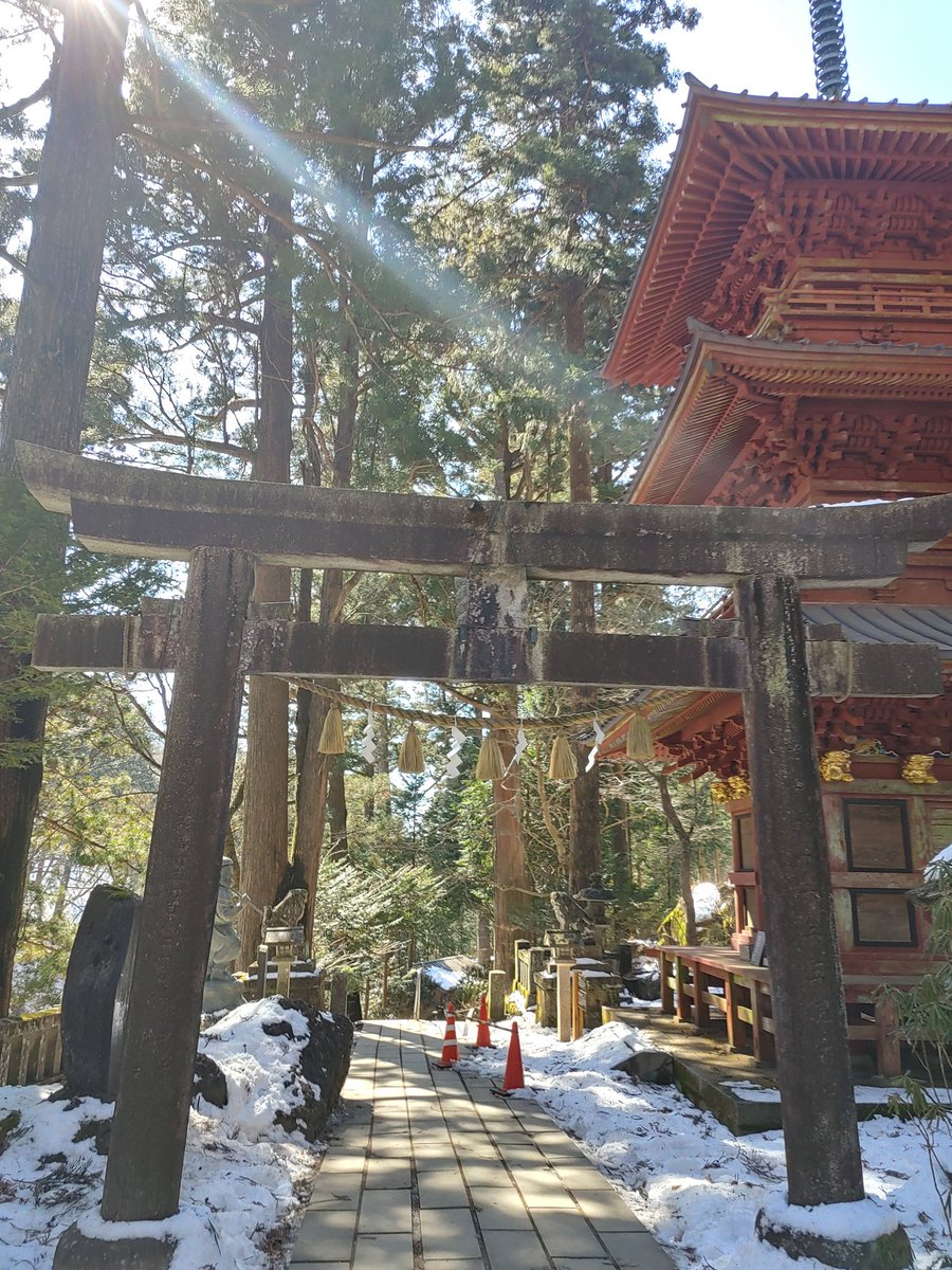 4/5】【✨光が降りる、神域の奇跡】 ちさ 「…まるで光が降りてきてる