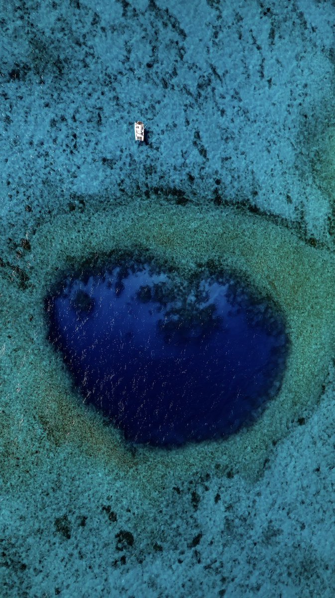 Intrepid tweet media