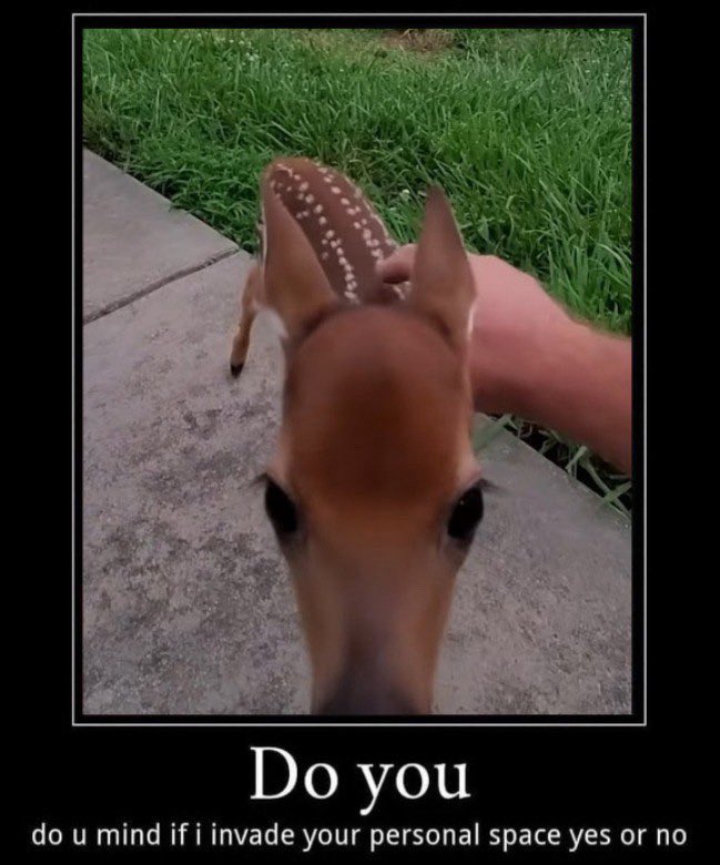 🍓🦌🎂 🔜 AC tweet media