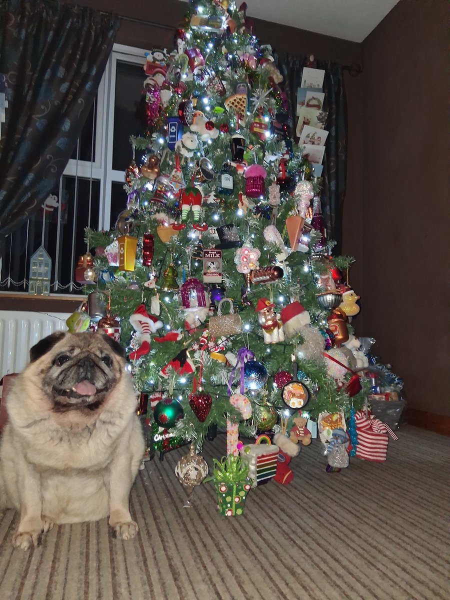 AbstractChey's tweet image. Look at my baby