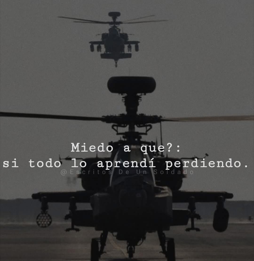 Disciplina tweet media