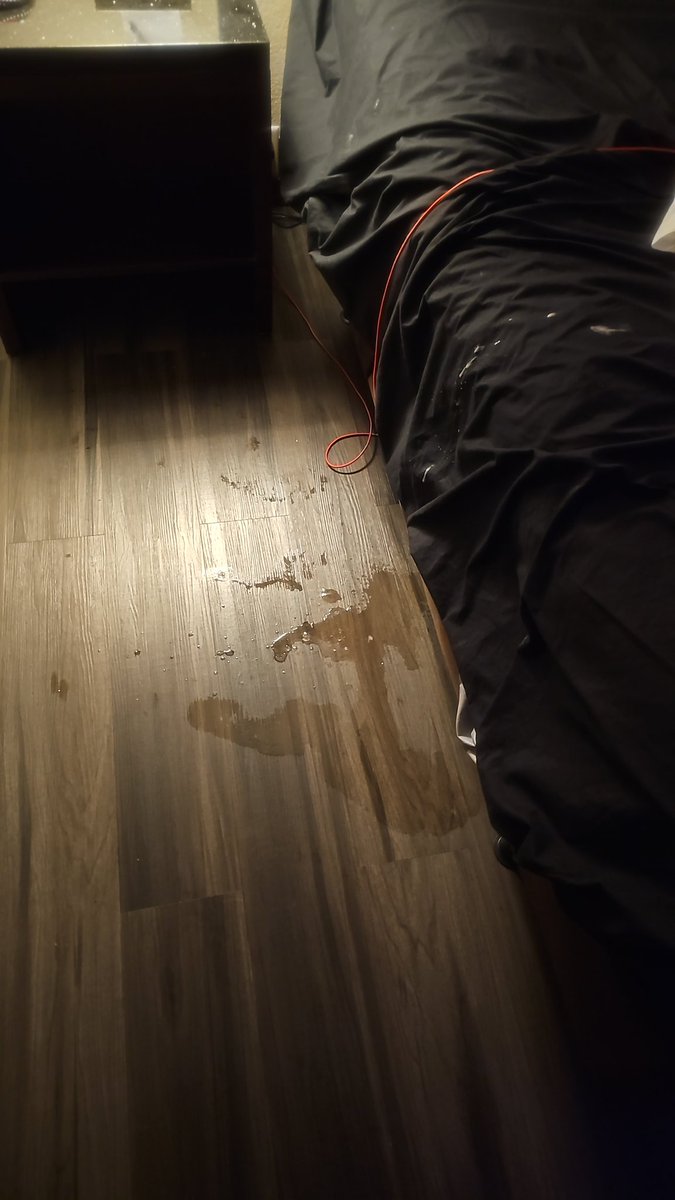 MaxSahara tweet media