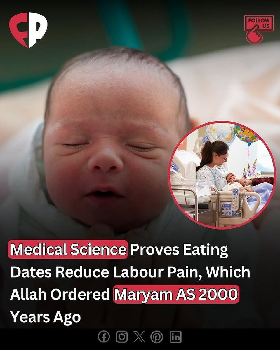 7signxx's tweet photo. Allah already told us 2000 years ago through Maryam AS, the mother of Jesus AS... https://t.co/cslQFfi5gD