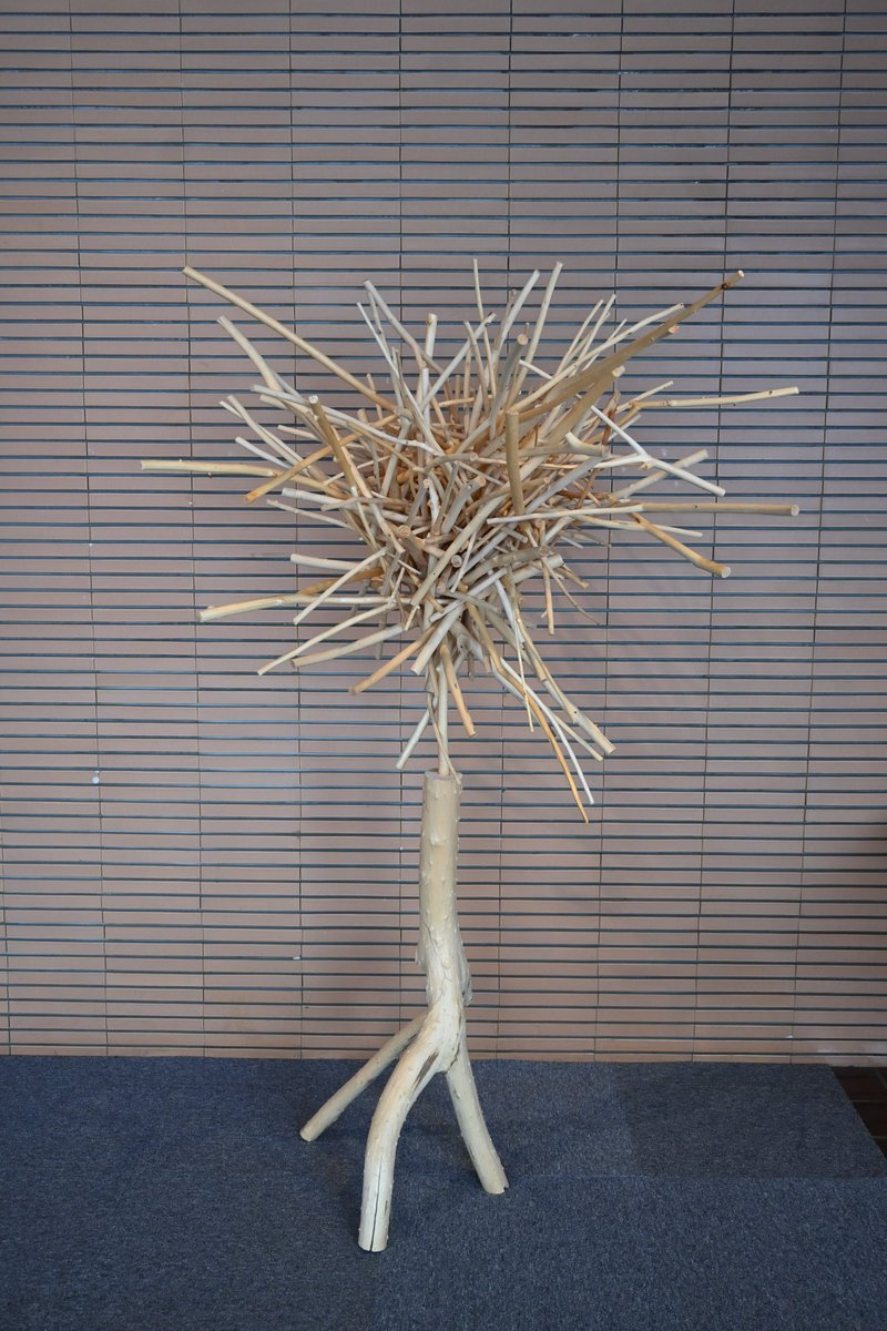 【＃今日の樹華】
3日目、太めの枝が張り出し、力強さを感じます！　当館ロビーに設置している《樹華》は、触ってOK♪ 作品上部の柳の枝を抜き差しすることで、作品の様子が変化していきます。皆様ぜひ体験してみてください。
＃旭川美術館