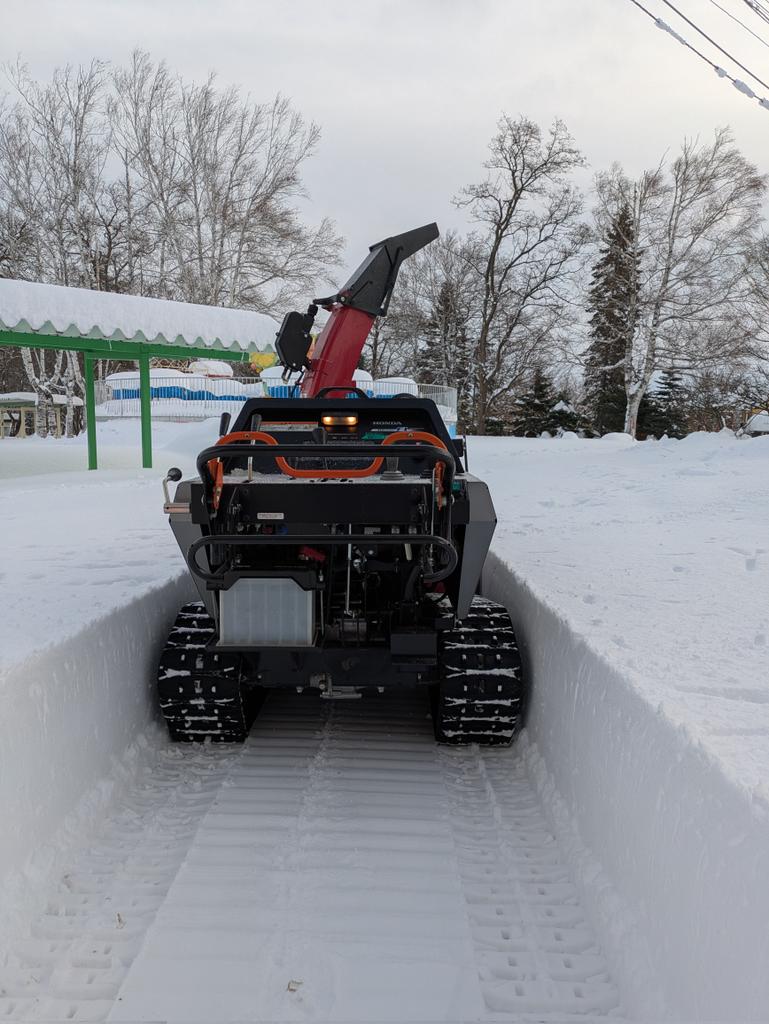obizoo_official's tweet photo. 帯広は一晩で50cmも降り積もりました☃️
飼育作業に入れるように、まずは園内の除雪でおおわらわ。

外にいる寒さに強い動物たちは、雪の中でも元気にしています。
ビーバーも一生懸命雪を抱えて運んでいました🦫

 #おびひろ動物園
 #アメリカビーバー https://t.co/XnOax9beWm