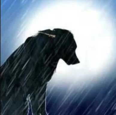 DIME QUÉ PUEDO HACER PARA CAMBIAR ESA MANERA TUYA DE PENSAR, QUE ESTÉS LOCA POR MÍ Y TE MUERAS DE DESEO DE CONMIGO ESTAR