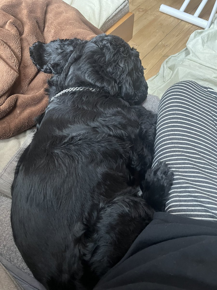 めるも「ボク うぃん、弟はエア 妹はエイル よろしくね