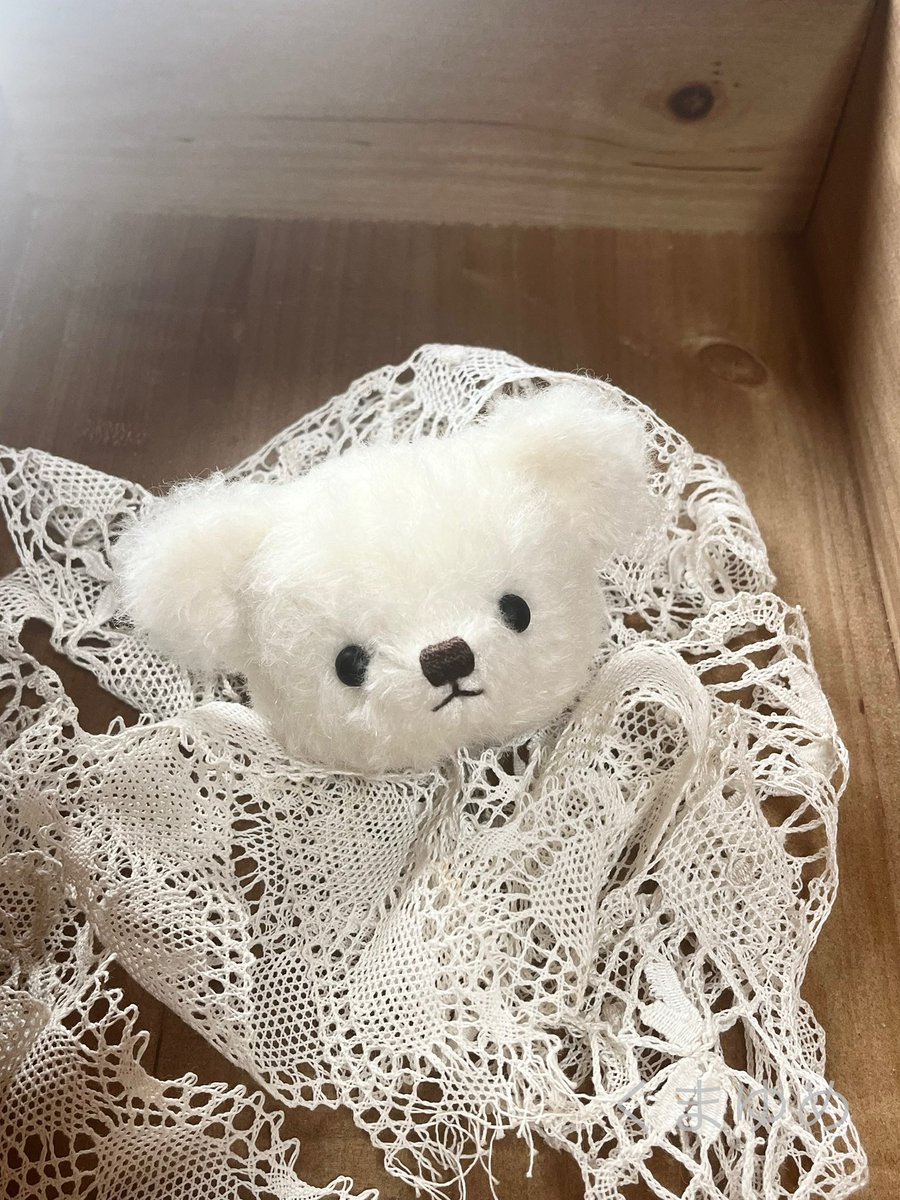 しらたま (@shiratama_kuma) / Posts / X しらたま (@shiratama_kuma) / Posts / X