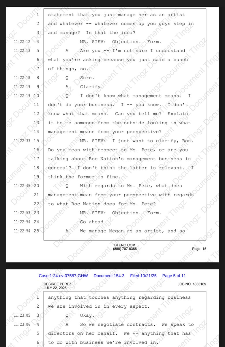 Someone’s not telling the truth…

Megan Thee Stallion and her fans have repeatedly said she’s independent.
But under oath, Roc Nation CEO Desiree Perez says Roc Nation manages Megan as both an artist and her business… that includes handling contracts, negotiations, speaking on