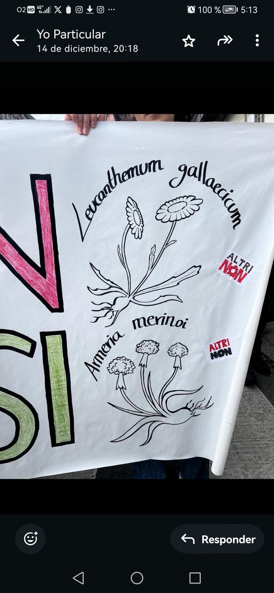 <a href="/BosqueHabitado/">El Bosque Habitado</a> <a href="/Amigas_arbores/">Amigas_das_arboresvigo</a> <a href="/opr_tw/">oscar pazos</a> <a href="/RosyEspinel/">Mary Rosy Espinel</a> <a href="/nabia69/">A Apanacensurada🛰️🐺🇾🇪🇵🇹🇵🇸</a> <a href="/FucoPerez/">O Fuco Pérez Sinsegundo</a> <a href="/Amichi016/">MARIA AUREA BARREIRO</a> <a href="/XosRamn/">Xosé Ramom Reigada</a> <a href="/EvaCesuras/">Eva</a> <a href="/AmilSenEolicos/">Amil SEN Eólicos</a> Conservemos a biodiversidade.
O patrimonio natural non se toca.
Non permitamos que se estrague!
#AltriNon