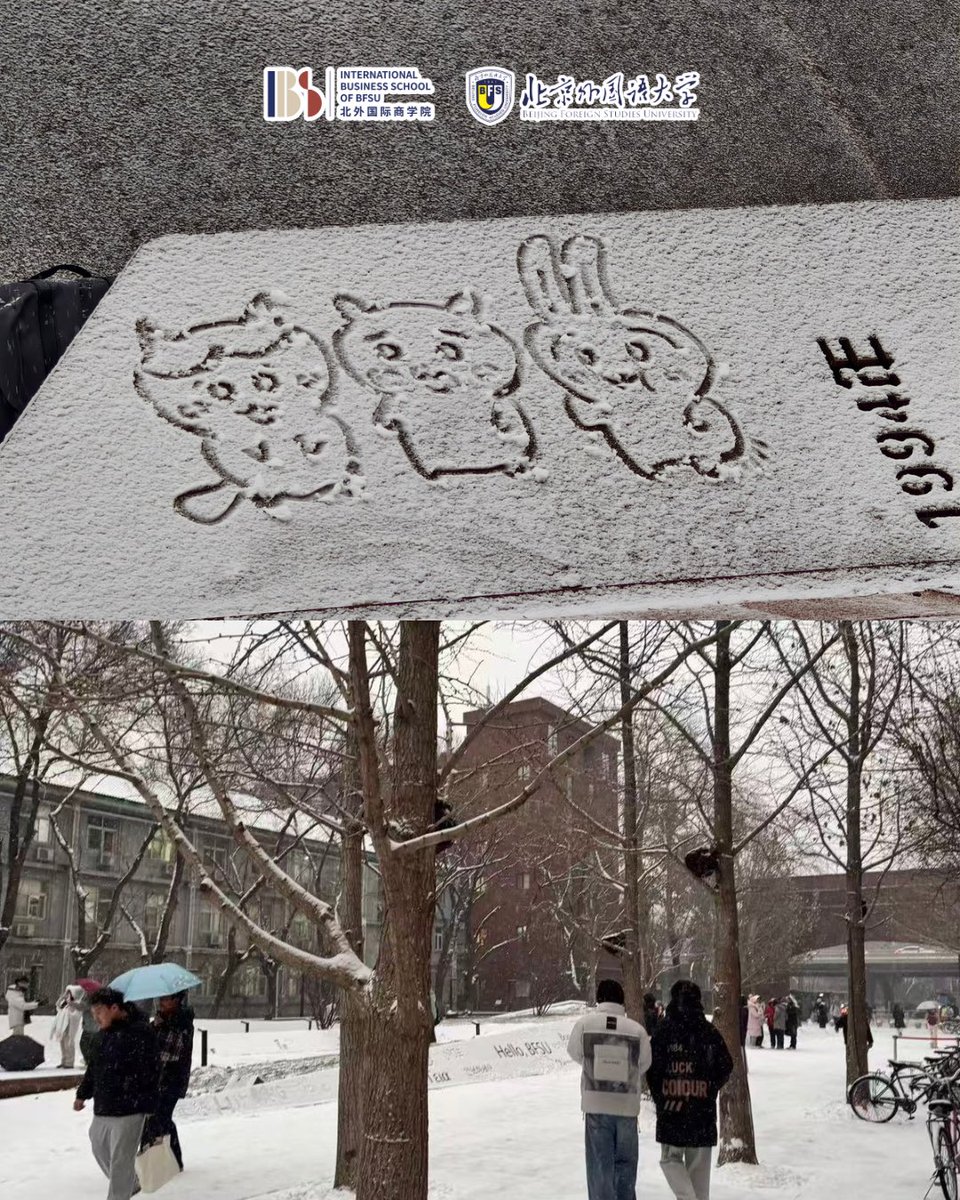 IBS, Beijing Foreign Studies University tweet media