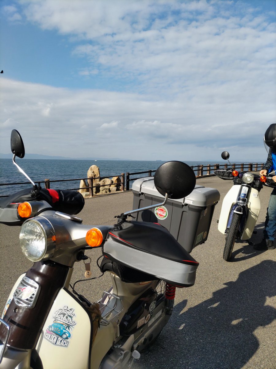 よっしー&クロコショー (@yoshi_kurokosho) / Posts / X