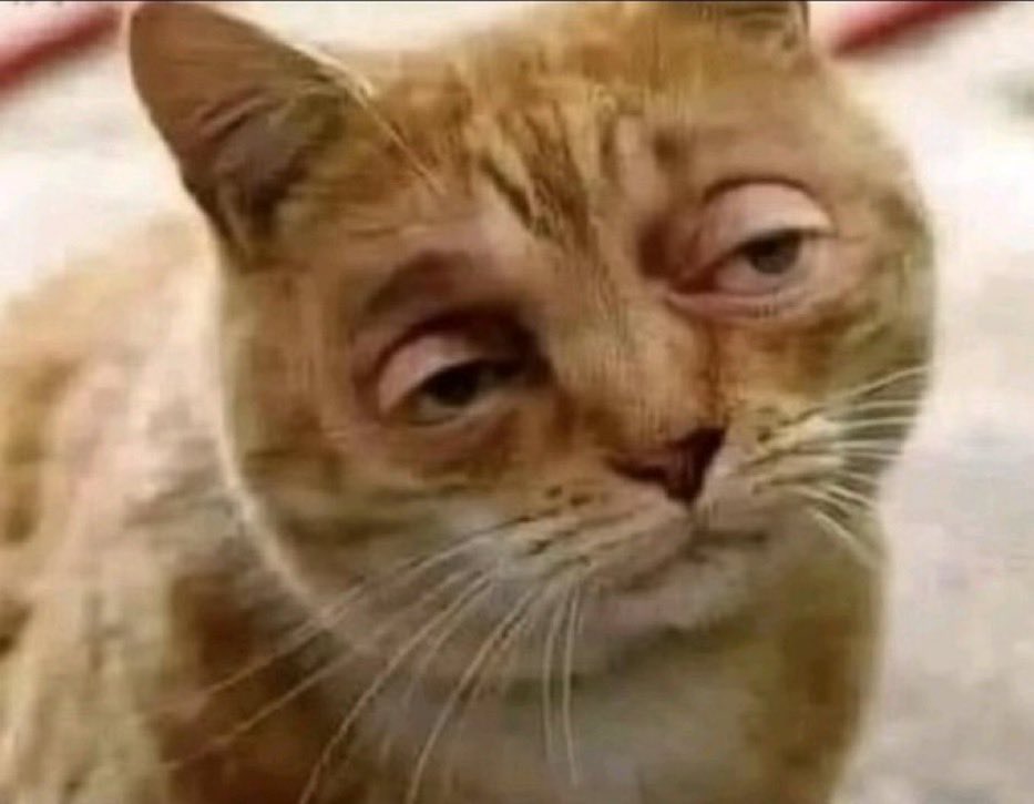 Full Negro Alchemist ✊🏿 tweet media