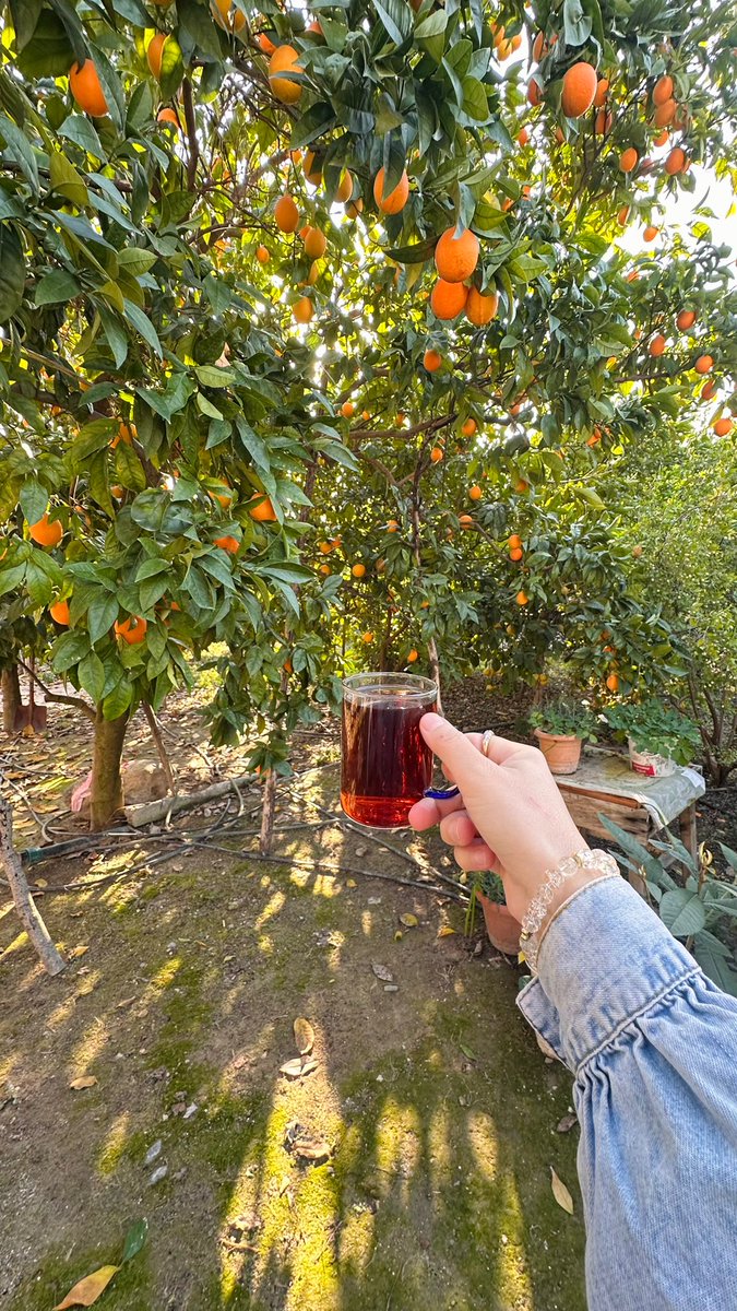 Hayırlı günaydınlar....