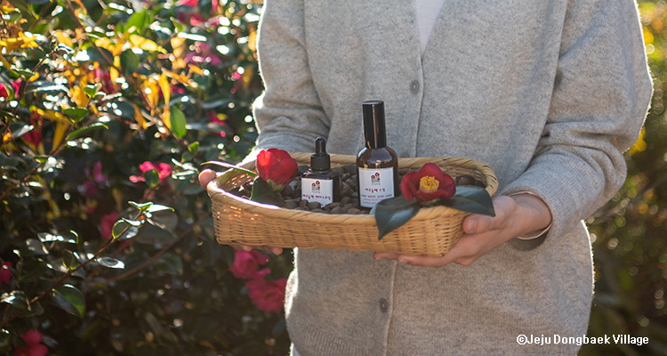 KoreanTravel's tweet image. Winter in Korea blooms in red with stunning camellia flowers, bringing warmth to the chilly season.🥰 Check the guide to discover the best places to see flowers in winter👇
💠Travel Highlights: bit.ly/44odsVw

#visitkorea #koreatravel #jeju #busan #camellia