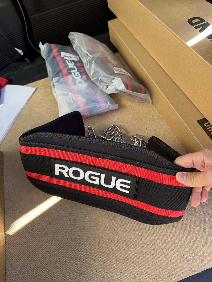 ROGUEエコーディップベルト（レッド）