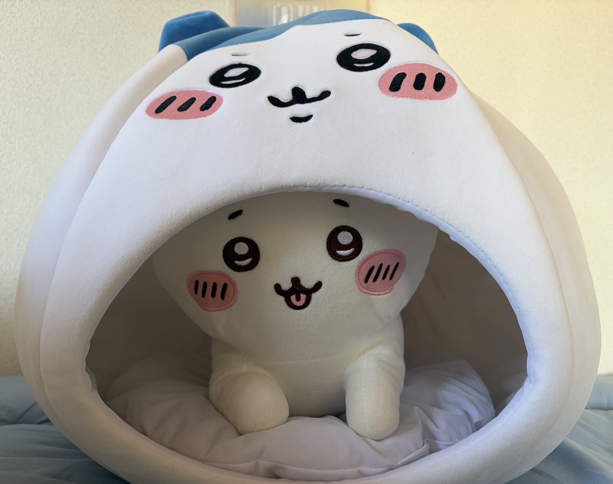 パチワレちゃん (@waikikiyade) / Posts / X