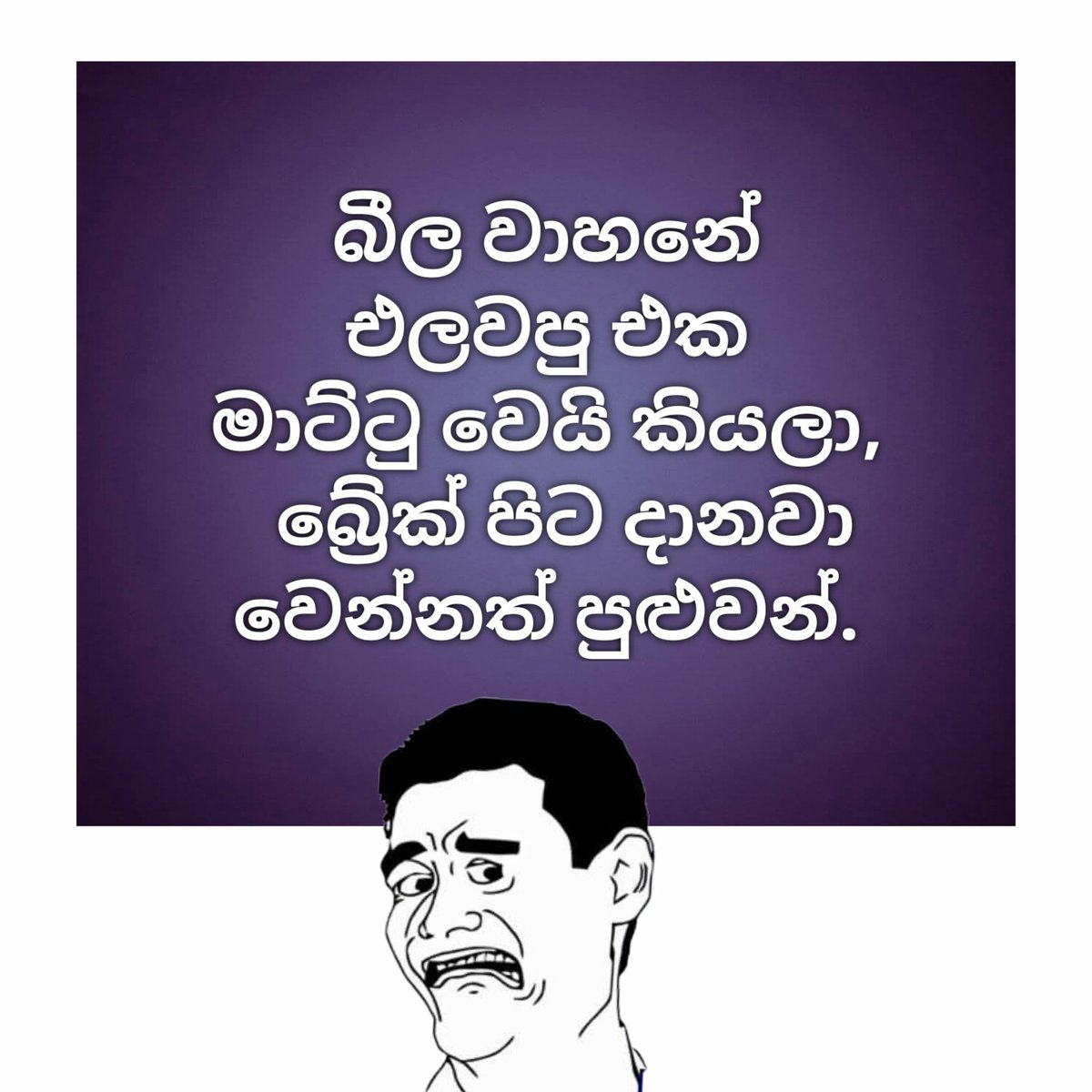 Madu Walige - මඩු වලිගෙ tweet media