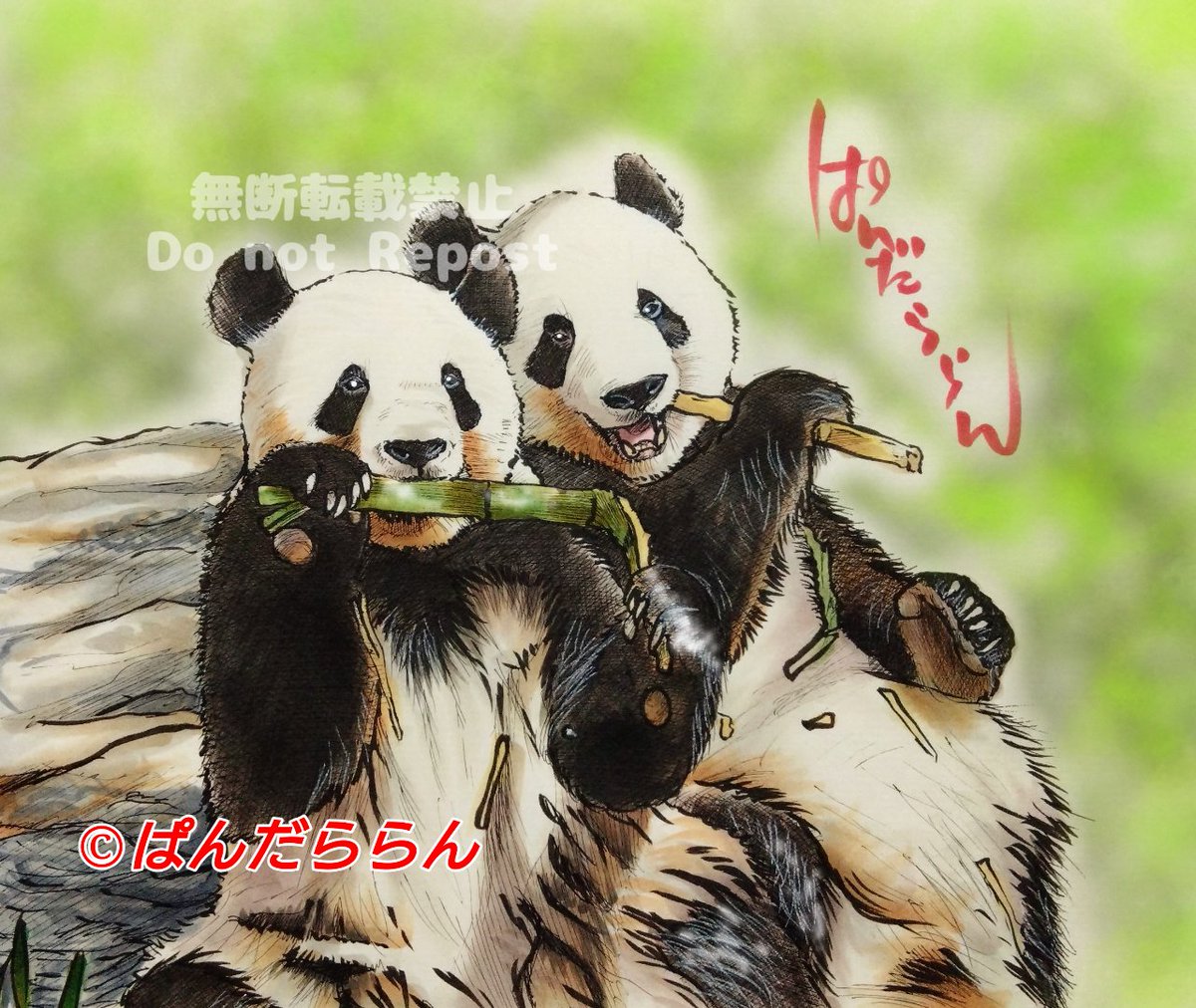 ほしこ (@hoshiko_panda) / Posts / X