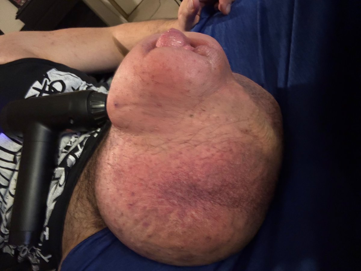 Lorg Dog tweet media