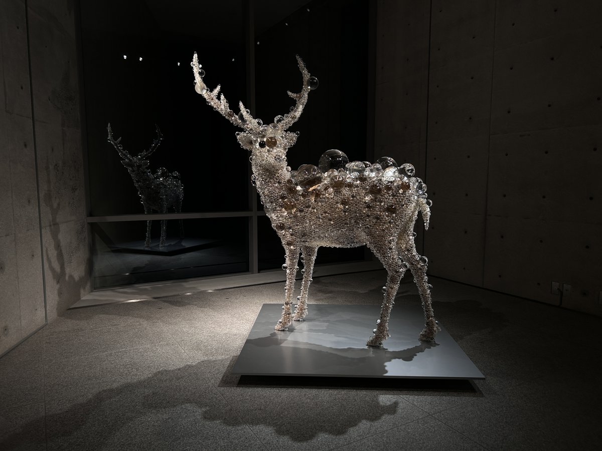 🕯1日限りの延長開館❄️ 日没後の美術館で神々しく輝く、名和晃平さん