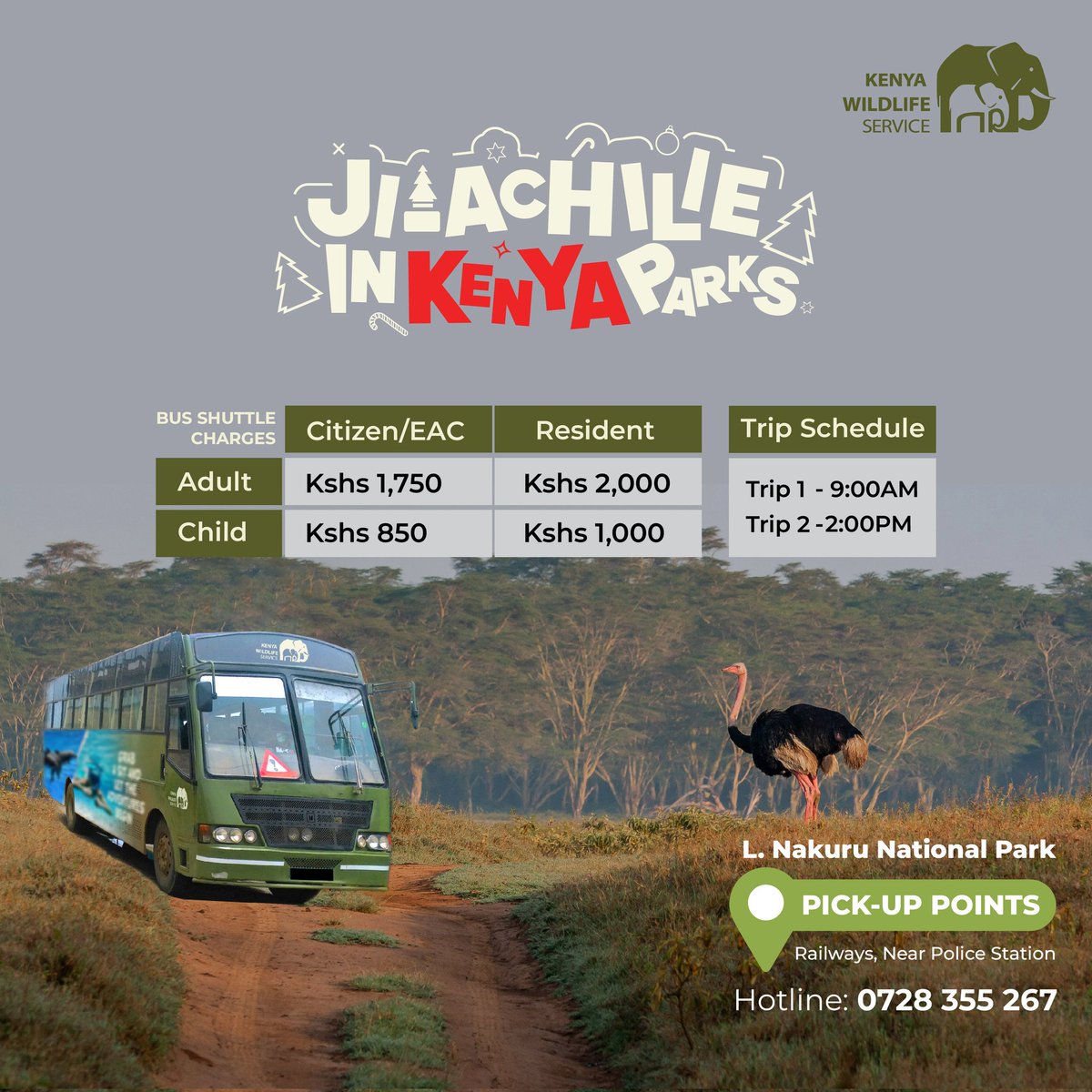 KWSKenya's tweet photo. 𝐓𝐡𝐞 𝐊𝐖𝐒 𝐁𝐮𝐬 𝐒𝐡𝐮𝐭𝐭𝐥𝐞 𝐢𝐬 𝐁𝐀𝐂𝐊!

Starting this weekend, 20th December, we’re bringing back the bus shuttle service on 𝐰𝐞𝐞𝐤𝐞𝐧𝐝𝐬 𝐚𝐧𝐝 𝐩𝐮𝐛𝐥𝐢𝐜 𝐡𝐨𝐥𝐢𝐝𝐚𝐲𝐬 𝐨𝐧𝐥𝐲 𝐭𝐡𝐫𝐨𝐮𝐠𝐡 𝐭𝐡𝐞 𝐟𝐞𝐬𝐭𝐢𝐯𝐞 𝐬𝐞𝐚𝐬𝐨𝐧 as part of the Jiachilie in Kenya Parks holiday campaign..

Explore our parks with ease at:

🌿 Nairobi National Park
🌿 Aberdare National Park
🌿 Lake Nakuru National Park

Affordable, convenient and perfect for family adventures this holiday season.

Check the posters for pick-up points, schedules and charges.

#JiachilieKenyaParks #KWSShuttle #FestiveSeason #TunzaMaliYako