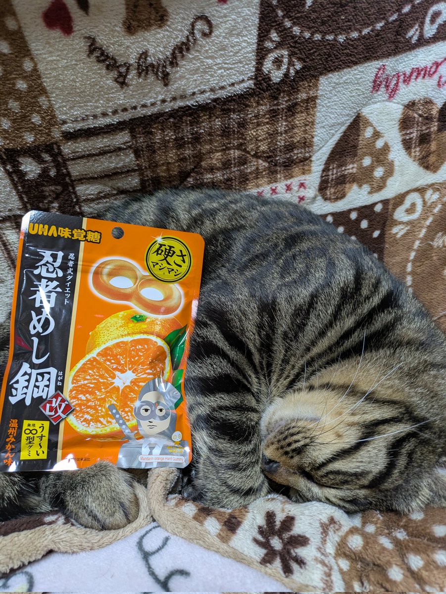 ネコママ 必ずプロフ読んで下さい様 ネコママ 必ずプロフ読んで下さい様 【公式通販】